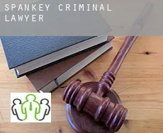 Spankey  criminal lawyer