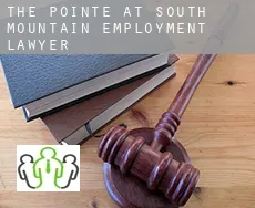 The Pointe at South Mountain  employment lawyer