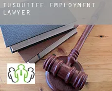 Tusquitee  employment lawyer