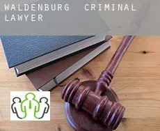 Waldenburg  criminal lawyer