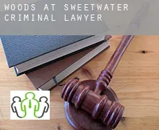 Woods at Sweetwater  criminal lawyer