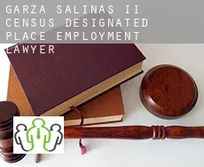 Garza-Salinas II  employment lawyer