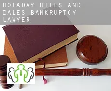 Holaday Hills and Dales  bankruptcy lawyer