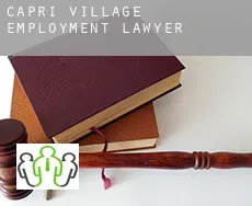 Capri Village  employment lawyer