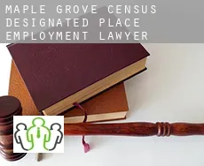 Maple Grove  employment lawyer
