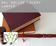 Owl Hollow  injury lawyer