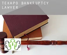 Tekapo bankruptcy lawyer
