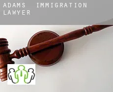 Adams  immigration lawyer