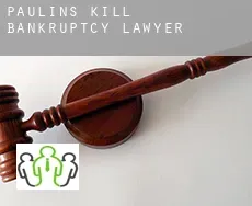 Paulins Kill  bankruptcy lawyer
