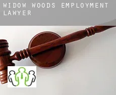 Widow Woods  employment lawyer