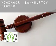 Woodmoor  bankruptcy lawyer