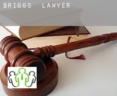 Briggs  lawyer