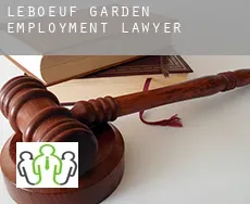LeBoeuf Garden  employment lawyer