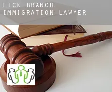 Lick Branch  immigration lawyer