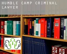 Humble Camp  criminal lawyer