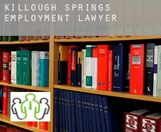 Killough Springs  employment lawyer