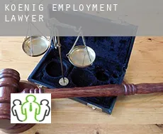 Koenig  employment lawyer