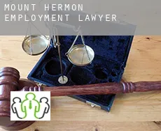 Mount Hermon  employment lawyer