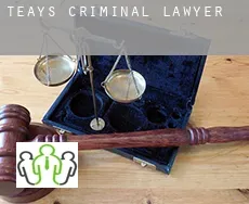 Teays  criminal lawyer