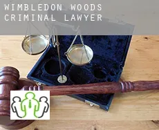Wimbledon Woods  criminal lawyer
