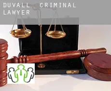 Duvall  criminal lawyer