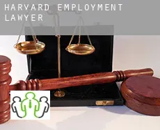 Harvard  employment lawyer