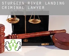Sturgeon River Landing  criminal lawyer