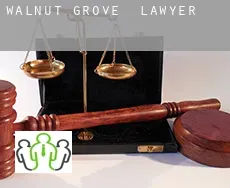 Walnut Grove  lawyer