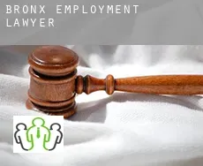 Bronx County  employment lawyer