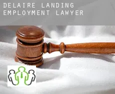 Delaire Landing  employment lawyer
