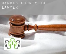 Harris County  lawyer