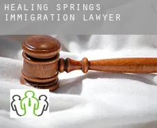 Healing Springs  immigration lawyer