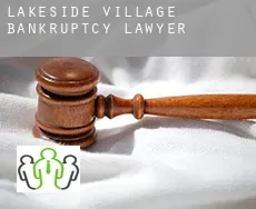 Lakeside Village  bankruptcy lawyer