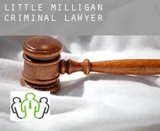 Little Milligan criminal lawyer