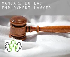 Mansard Du Lac  employment lawyer