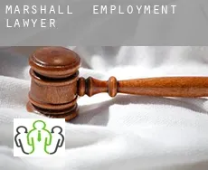 Marshall  employment lawyer
