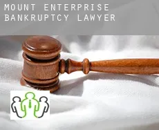 Mount Enterprise  bankruptcy lawyer