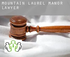 Mountain Laurel Manor  lawyer