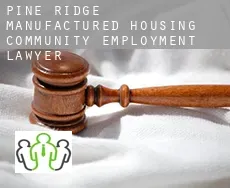 Pine Ridge Manufactured Housing Community  employment lawyer