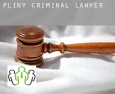 Pliny  criminal lawyer