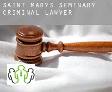 Saint Marys Seminary  criminal lawyer