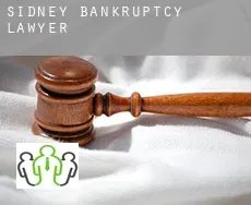 Sidney  bankruptcy lawyer