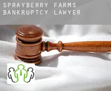 Sprayberry Farms  bankruptcy lawyer