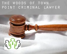 The Woods of Town Point  criminal lawyer