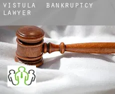 Vistula bankruptcy lawyer