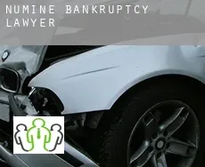 NuMine bankruptcy lawyer