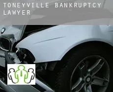 Toneyville  bankruptcy lawyer