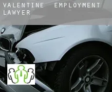 Valentine  employment lawyer