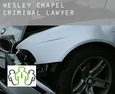Wesley Chapel  criminal lawyer