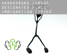 Aaronsburg immigration lawyer